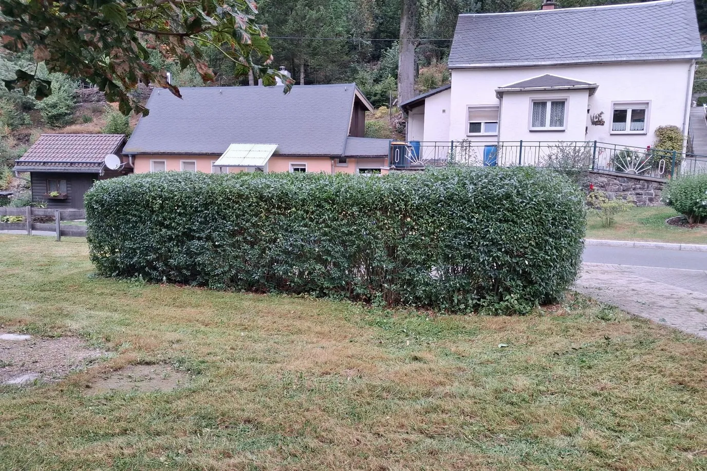 Frisch geschnittene Hecke und gemähter Rasen an einem Wohngrundstück